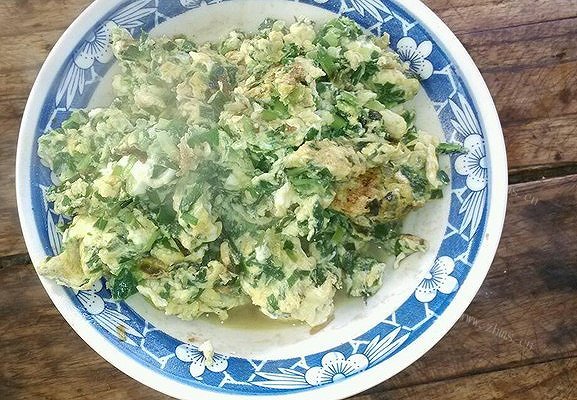 美味韭菜炒蛋