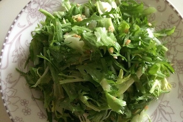 凉拌苦菊