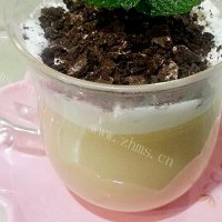 自制盆栽奶茶
