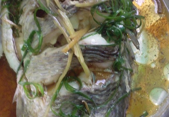 美味清蒸福寿鱼
