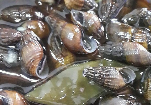 煮田螺