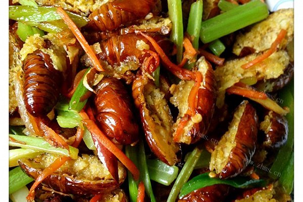 自制干煸茧蛹