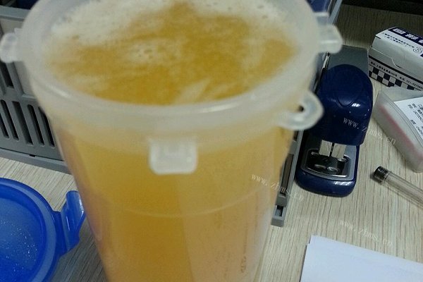 自制银耳木瓜糊