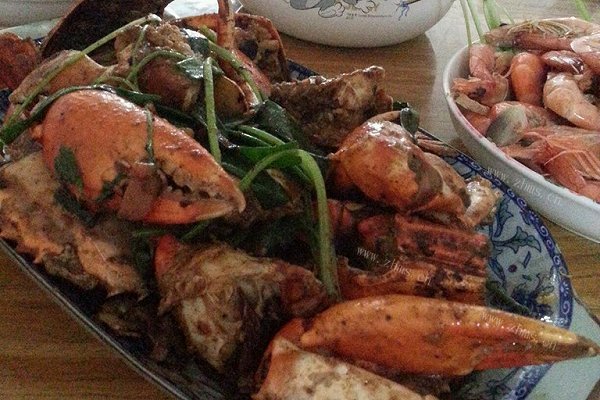 蛋黄鲟