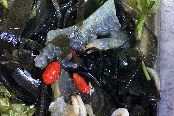 简单海带冬瓜汤