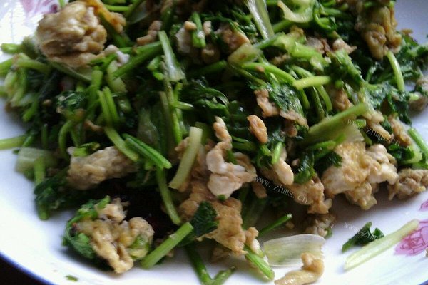 香菜炒鸡蛋