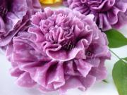 自制面塑类之紫薯康乃馨
