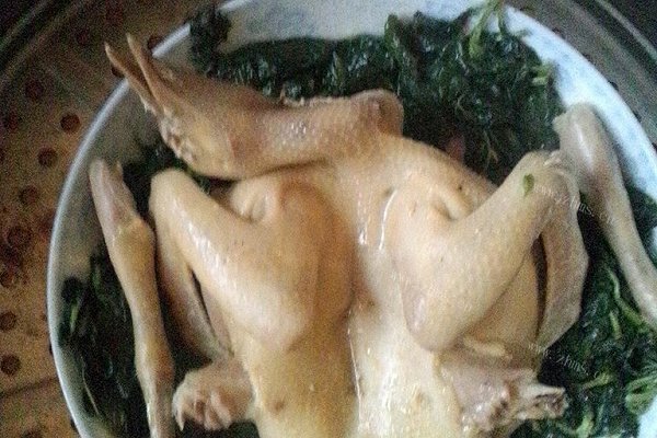 薄荷蒸乳鴿