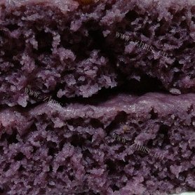 美味紫薯米面发糕