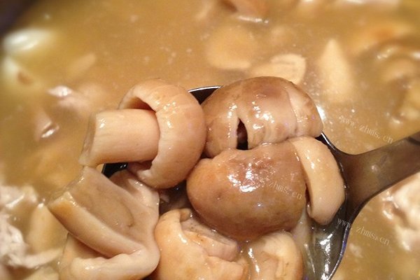 青头蕈肉片汤
