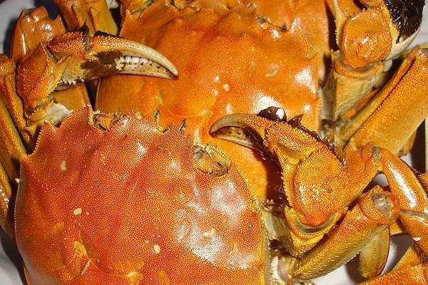 清蒸大闸蟹