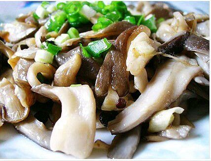  家庭版素炒平菇