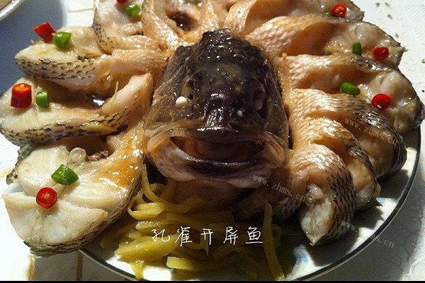 孔雀开屏鱼