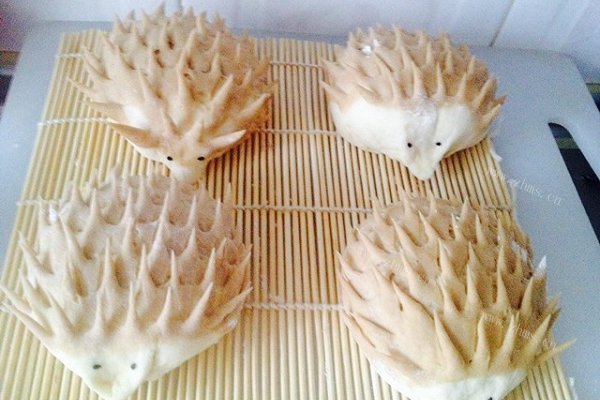 华丽丽的小刺猬豆沙包