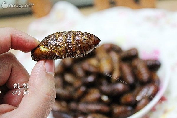 家常干煸蚕蛹