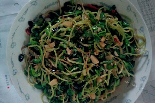 清炒黑豆苗