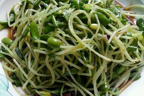 家常凉拌黑豆苗-零技术含量补肾佳品