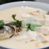 营养的鱼头豆腐汤