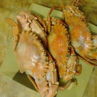 蒜  盐焗螃蟹