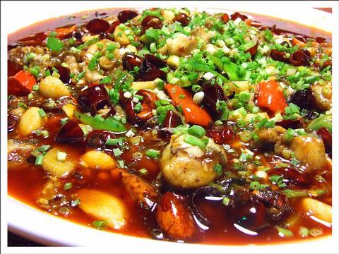 红火大鲶鱼