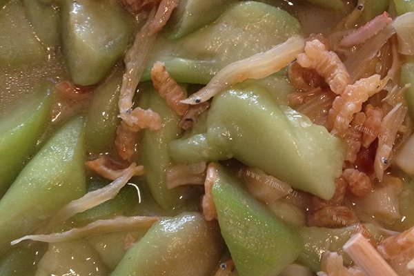 海风丝瓜