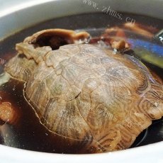 参龟汤