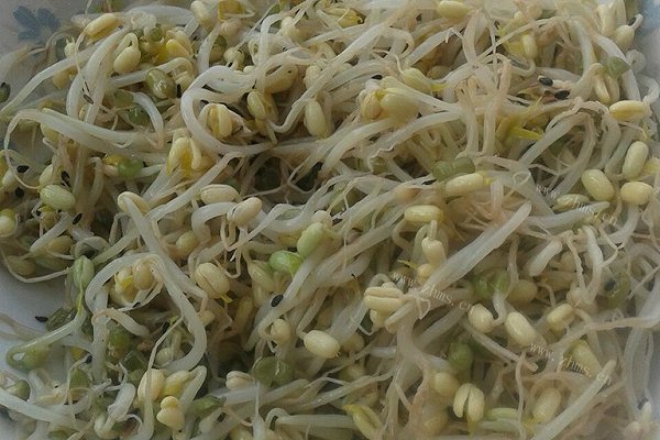 家常凉拌豆芽