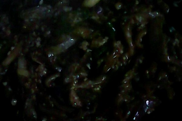 肉沫茄子