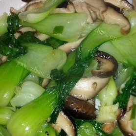 自制蘑菇炒青菜