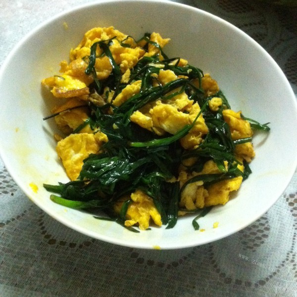 健康美食韭菜炒鸡蛋