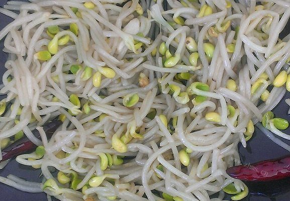 清炒黄豆芽