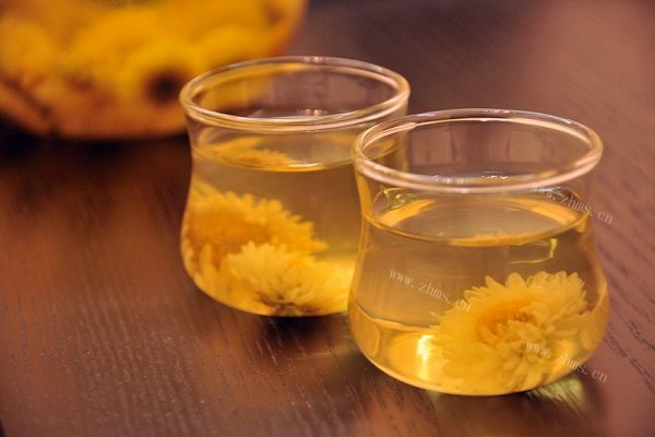 一壶菊花茶（冷热饮）