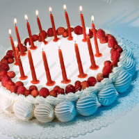 幸福时刻-生日蛋糕