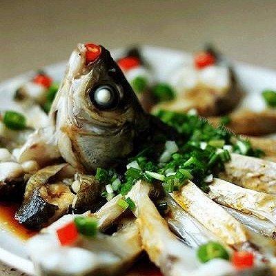 孔雀开屏鱼