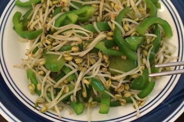 自发绿豆芽
