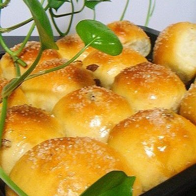 葡萄干小餐包
