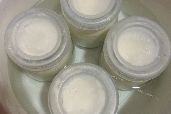自制酸奶