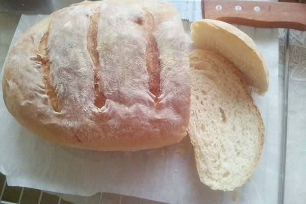 Bloomer