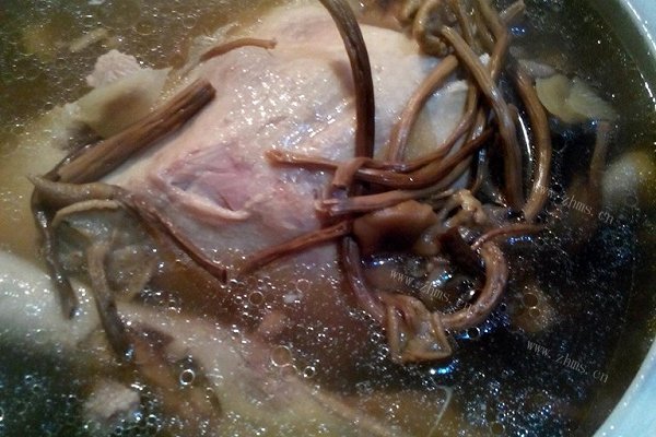 茶树菇老鸭汤