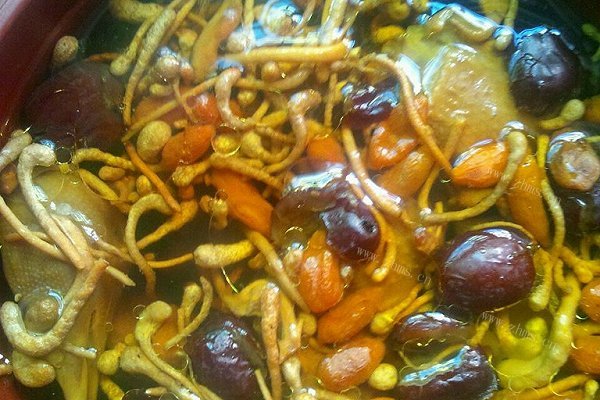虫草花炖老鸽汤（鸽子）