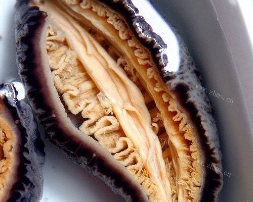 「贴膘季」澳洲黑乌参的N种吃法
