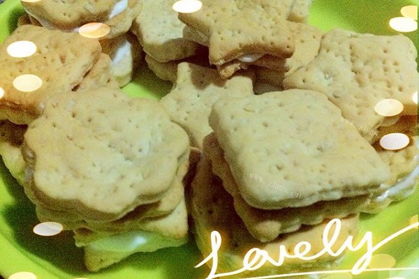 燕麦苏打小饼干