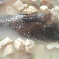 黑头鱼炖豆腐