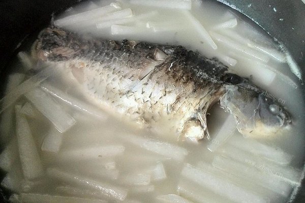 萝卜鲫鱼汤