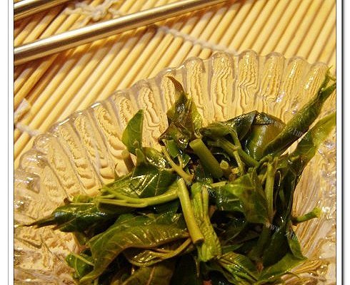 潦香椿