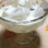 夏日甜品-酸奶芦荟（超级简单）