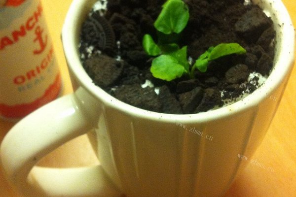 好玩盆栽奶茶