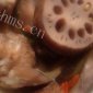 猪脚黄豆莲藕炖汤