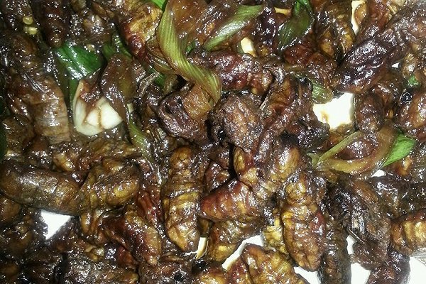 雄蚕饿