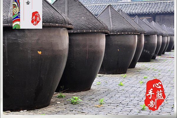 豉皇窠心豆豉-豉皇的诞生（下）